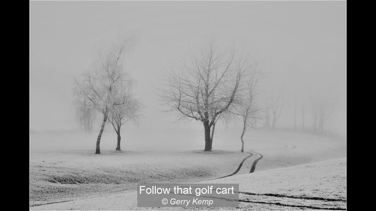 13_Follow that golf cart_Gerry Kemp